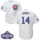 Chicago Cubs #14 Ernie Banks White Home 2016 World Series Champions Stitched Youth MLB Jersey