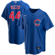 Men's Nike Chicago Cubs #44 Anthony Rizzo Royal Alternate 2020 MLB Jersey