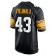 Men's Pittsburgh Steelers Troy Polamalu Nike Black Retired Player Jersey