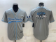 Men's Carolina Panthers Blank Grey Stitched Baseball Cool Base Jersey