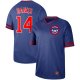 Men's Nike Blank Chicago Cubs #14 Ernie Banks Royal Cooperstown Collection Legend V-Neck MLB Jersey