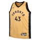 Youth Toronto Raptors Pascal Siakam Nike Gold  Swingman Replica Jersey - City Edition