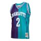 Men's Charlotte Hornets Larry Johnson Mitchell & Ness Teal/Purple Hardwood Classics 1992/93 Split Swingman Jersey