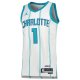 Unisex Charlotte Hornets LaMelo Ball Jordan Brand White Swingman Jersey - Association Edition