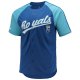 Men's Kansas City Royals Stitches Royal Button-Down Raglan Replica Jersey