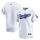 Youth Los Angeles Dodgers Nike White Home Limited Jersey